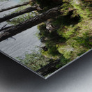  A Hill Top View in the Scottish Highlands                                                                                                                     Metal print