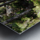   The Magical Place of the Fae in the Scottish Highlands                                                                                                                    Metal print