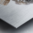 pictoretest Metal print