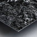 Scottish Highlands Monochrome Rowan Trees                                                                                                                      Metal print