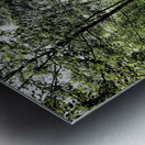 The Path through the Scottish Highlands                                                                                                                      Metal print