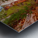 Kanarra Spring Creek Slot Canyon Metal print