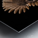 Test Great Grey Owl Metal print