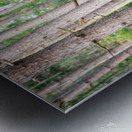 lookintomysoul8x10NEEDSTP Metal print