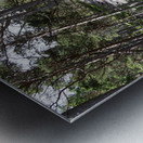  Rocky Forest Landscape in the Scottish Highlands                                                                                                                     Metal print