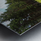 Pine and Fern Trail through the Scottish Highlands                                                                                                                      Metal print