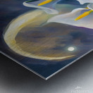 Moon shining over Calla Lily flowers  Impressionism style Metal print