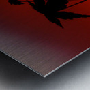 Sunset Acer Metal print