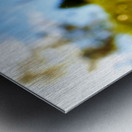 A Daisy Story Metal print