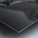 Running Companion – Wildlife Motion Art Print Metal print