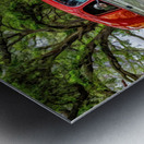 1950 CHEVROLET PANEL VAN Metal print