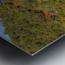 Hillside Highway Vista Metal print