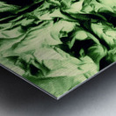 Old Bodach of Albany Metal print