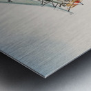 Single Bi Plane 14 14x11 34 Metal print