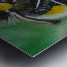 Bumblebee Feast Metal print