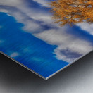 9092746399_d6251264c6_o Metal print