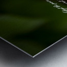 Adopt Patience Metal print