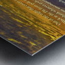 Invictus Metal print