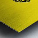 Early 1900s Iowa Hawkeyes Water Boy Art  Metal print