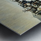 Early 1900s Colorado Buffaloes vs. Colorado College Tigers Metal print