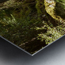 Peace in the Woods in the Scottish Highlands Metal print