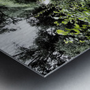  Summers Bridge through the Scottish Highlands                                                                                                                     Metal print