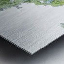 Abstract Forest in the Scottish Highlands                                                                                                                       Metal print