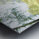 Summers Delight in the Scottish Highlands                                                                                                                      Metal print