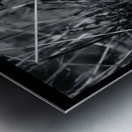 Cloaking Killdeer Metal print