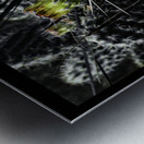 Protected Blossoms Metal print