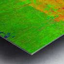  Surreal Nature Path through the Scottish Highlands                                                                                                                     Metal print