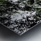  Natures Summer Path through the Scottish Highlands                                                                                                                     Metal print