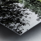 Summer Path in the Scottish Highlands                                                                                                                      Metal print