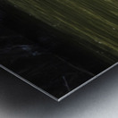 Pelican Coming in for a Landing Metal print