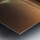 Charleston Skyline at New Years Metal print