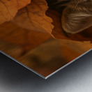 Cute Tabby Kitten in Autumn Forest Leaves Metal print