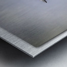 Sky Superiority 2 Metal print