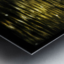 Morning Stretch Metal print