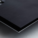 War Bird 1 Metal print