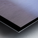 Early Birds Metal print