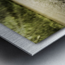 Rise through the Impossible Metal print