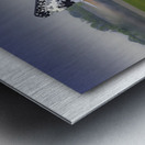 MiG 29 in Osh Metal print