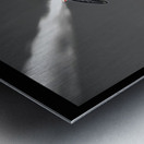 War Bird 2 Metal print