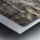 Badlands Buffalo Metal print