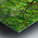 Pathway To Big Spring Metal print