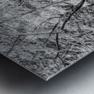 Pathway To Big Spring Grayscale Metal print