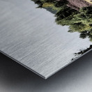 Scottish Highlands Birch Tree Landscape                                                                                                                      Metal print