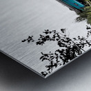  Scottish Highlands High Speed Train on the Trail                                                                                                                     Metal print