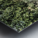 Scottish Highlands Cyclist on the Summer Path                                                                                                                      Metal print