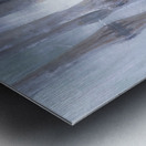 Cypress Tree Reflections Metal print